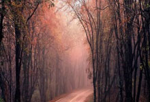 长安汽车申请车辆充电控制方法专利，提高电动汽车跨区域充电的成功率