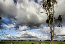 世界杯合法购彩 -小鹏取得障碍物属性确定方法专利